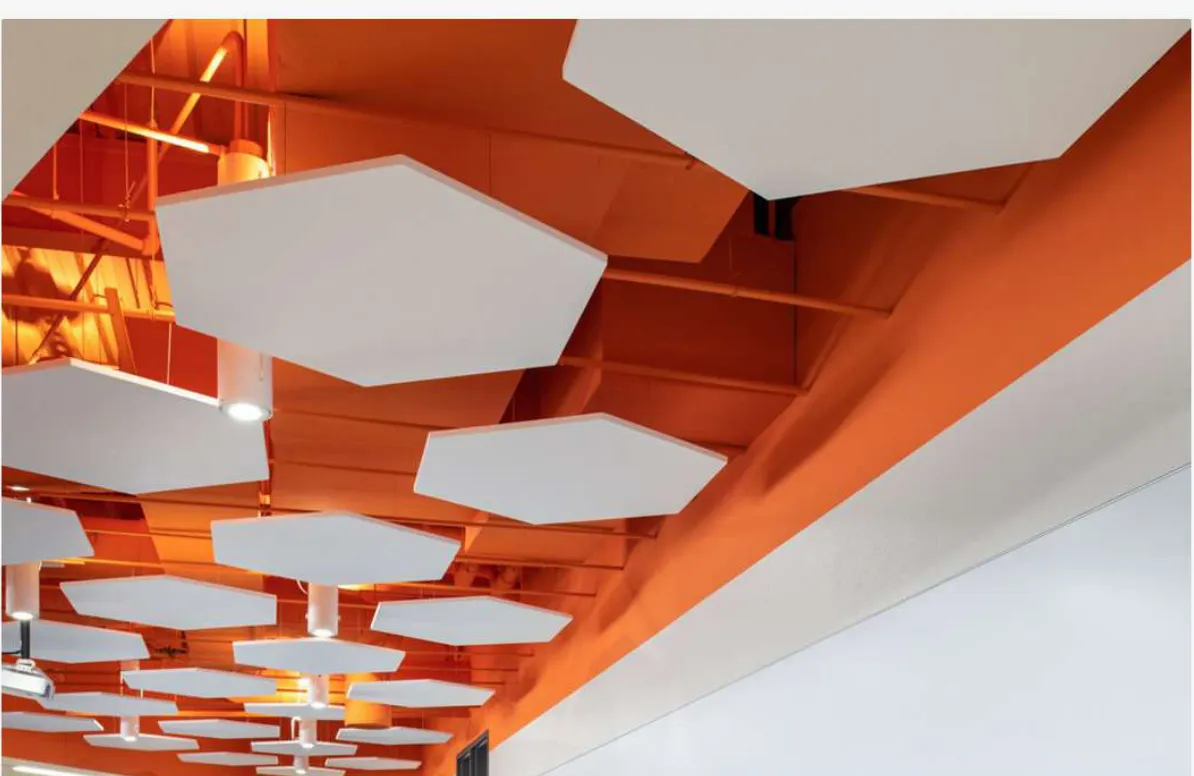Ceilings and baffles, view 3